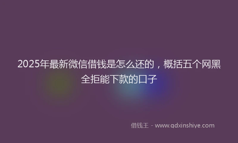 2025年最新微信借钱是怎么还的，概括五个网黑全拒能下款的口子