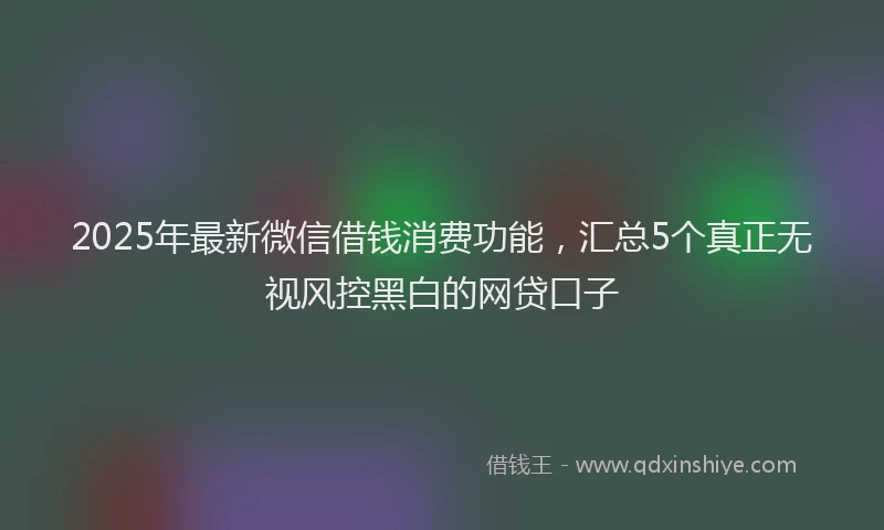 2025年最新微信借钱消费功能，汇总5个真正无视风控黑白的网贷口子