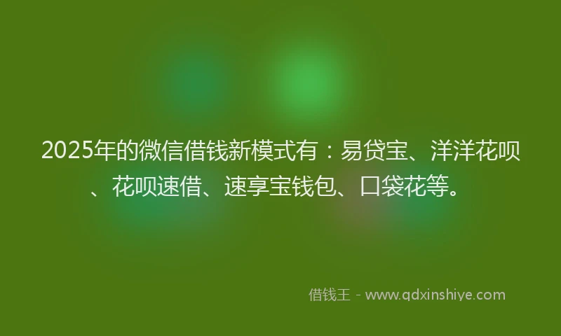 2025年的微信借钱新模式有：易贷宝、洋洋花呗、花呗速借、速享宝钱包、口袋花等。