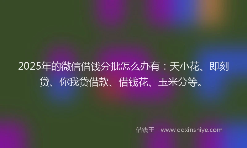 2025年的微信借钱分批怎么办有：天小花、即刻贷、你我贷借款、借钱花、玉米分等。