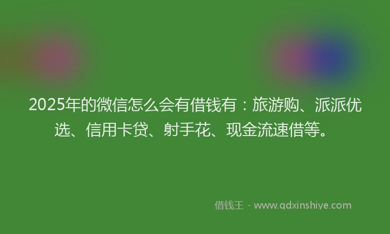 2025年的微信怎么会有借钱有：旅游购、派派优选、信用卡贷、射手花、现金流速借等。