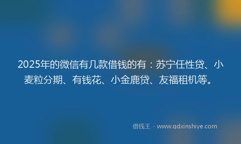 2025年的微信有几款借钱的有：苏宁任性贷、小麦粒分期、有钱花、小金鹿贷、友福租机等。