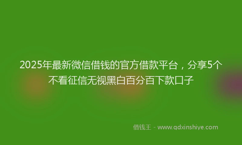 2025年最新微信借钱的官方借款平台，分享5个不看征信无视黑白百分百下款口子