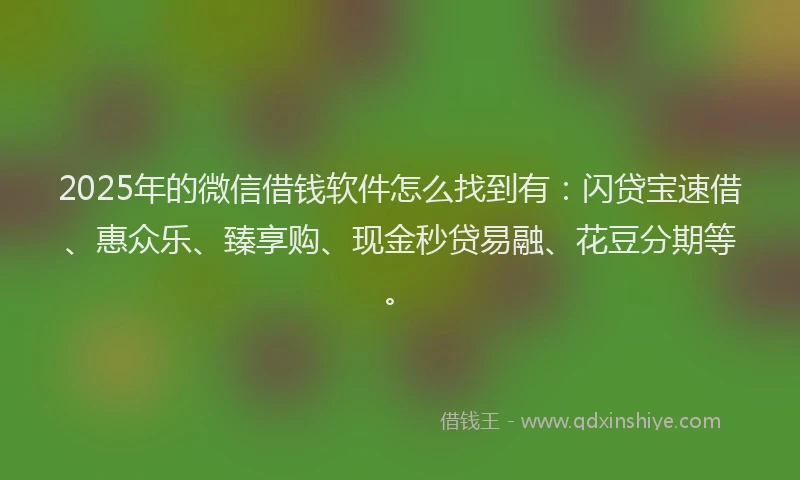2025年的微信借钱软件怎么找到有：闪贷宝速借、惠众乐、臻享购、现金秒贷易融、花豆分期等。
