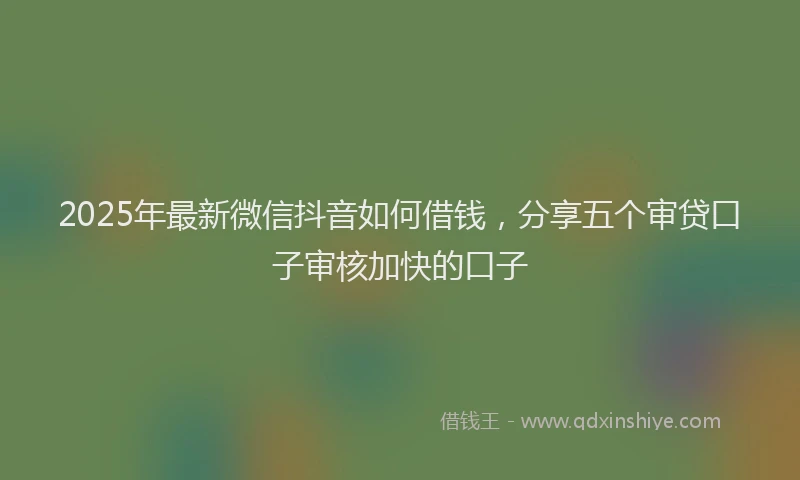 2025年最新微信抖音如何借钱，分享五个审贷口子审核加快的口子