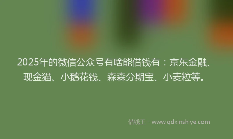 2025年的微信公众号有啥能借钱有：京东金融、现金猫、小鹅花钱、森森分期宝、小麦粒等。
