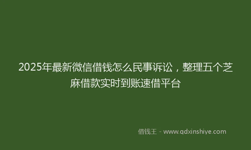 2025年最新微信借钱怎么民事诉讼，整理五个芝麻借款实时到账速借平台