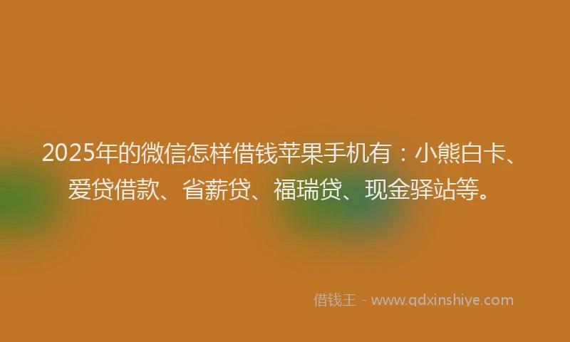 2025年的微信怎样借钱苹果手机有：小熊白卡、爱贷借款、省薪贷、福瑞贷、现金驿站等。