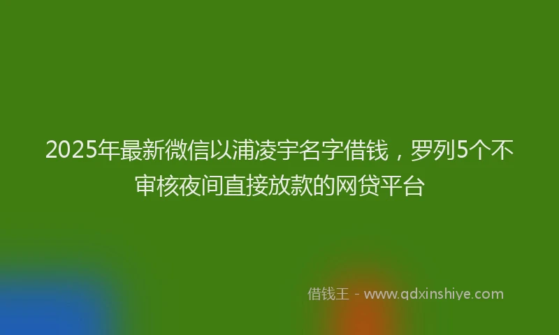 2025年最新微信以浦凌宇名字借钱，罗列5个不审核夜间直接放款的网贷平台