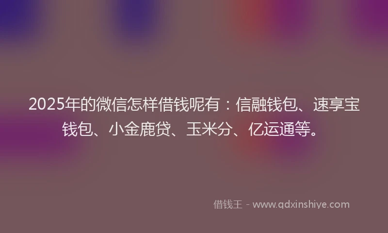2025年的微信怎样借钱呢有：信融钱包、速享宝钱包、小金鹿贷、玉米分、亿运通等。