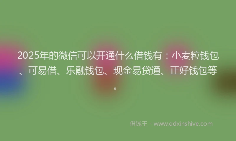 2025年的微信可以开通什么借钱有：小麦粒钱包、可易借、乐融钱包、现金易贷通、正好钱包等。