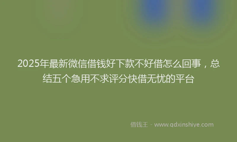 2025年最新微信借钱好下款不好借怎么回事，总结五个急用不求评分快借无忧的平台