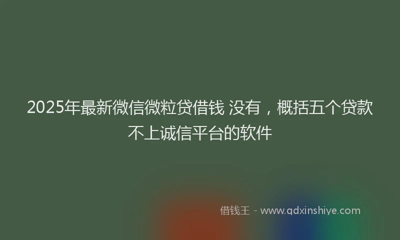 2025年最新微信微粒贷借钱 没有，概括五个贷款不上诚信平台的软件