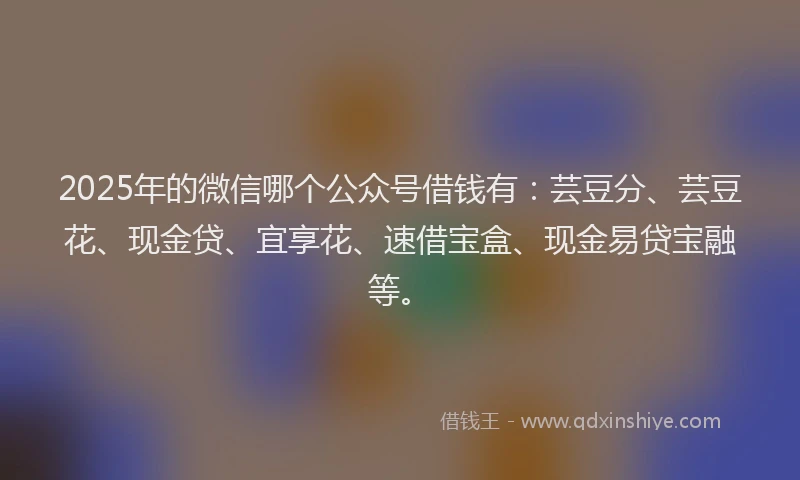 2025年的微信哪个公众号借钱有：芸豆分、芸豆花、现金贷、宜享花、速借宝盒、现金易贷宝融等。