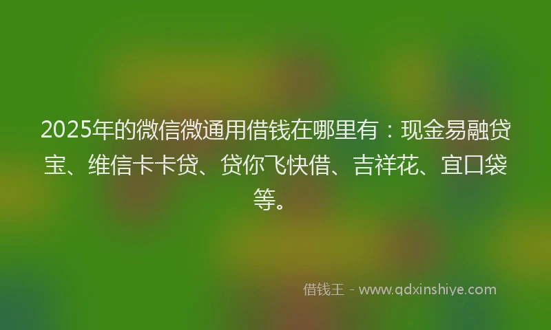 2025年的微信微通用借钱在哪里有：现金易融贷宝、维信卡卡贷、贷你飞快借、吉祥花、宜口袋等。