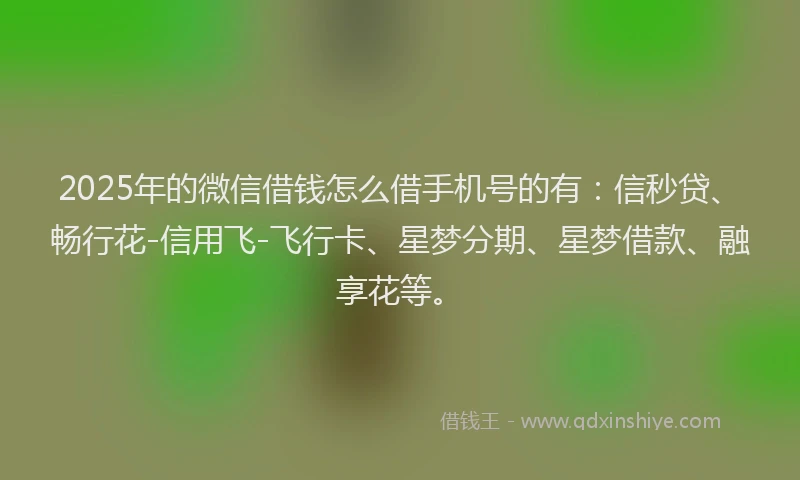 2025年的微信借钱怎么借手机号的有：信秒贷、畅行花-信用飞-飞行卡、星梦分期、星梦借款、融享花等。