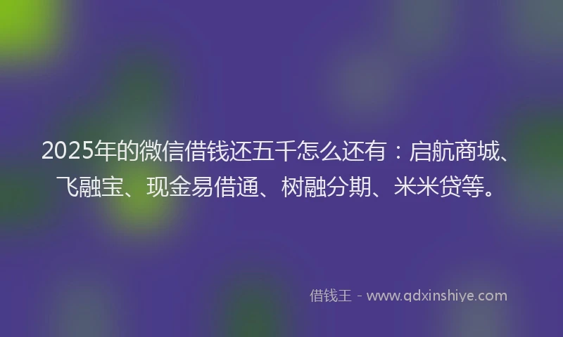 2025年的微信借钱还五千怎么还有：启航商城、飞融宝、现金易借通、树融分期、米米贷等。