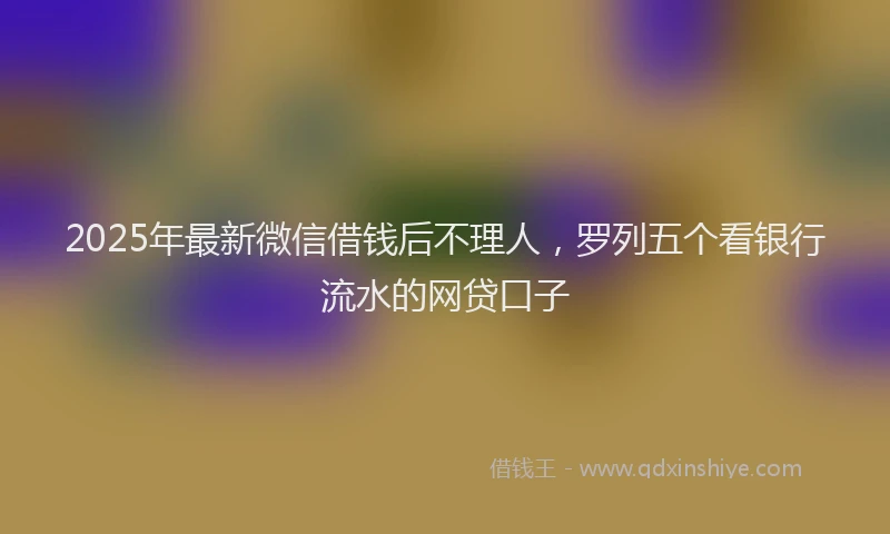 2025年最新微信借钱后不理人，罗列五个看银行流水的网贷口子