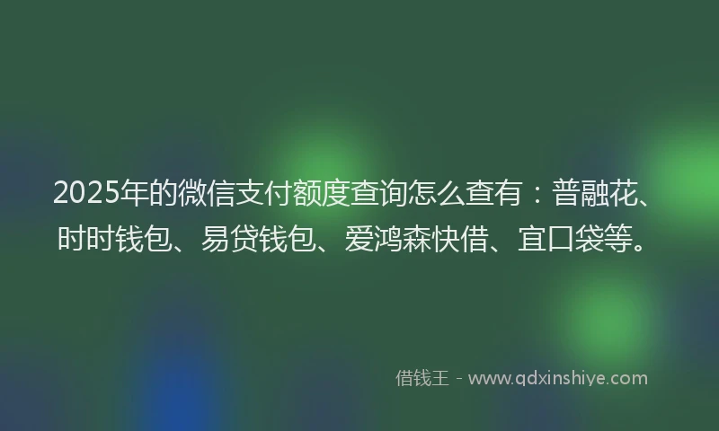 2025年的微信支付额度查询怎么查有：普融花、时时钱包、易贷钱包、爱鸿森快借、宜口袋等。