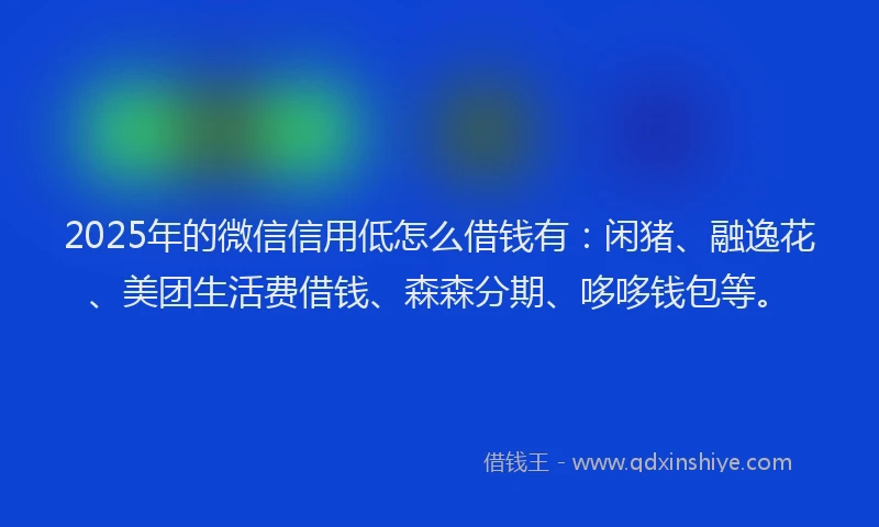 2025年的微信信用低怎么借钱有：闲猪、融逸花、美团生活费借钱、森森分期、哆哆钱包等。