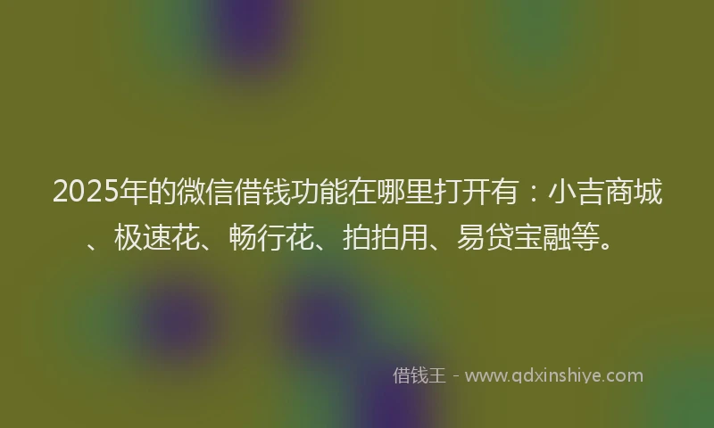 2025年的微信借钱功能在哪里打开有：小吉商城、极速花、畅行花、拍拍用、易贷宝融等。
