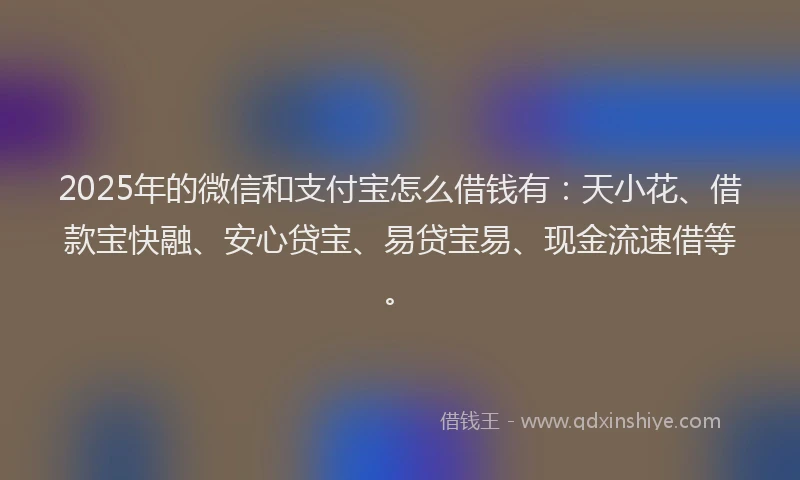 2025年的微信和支付宝怎么借钱有：天小花、借款宝快融、安心贷宝、易贷宝易、现金流速借等。