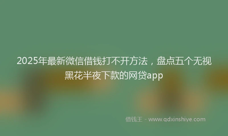 2025年最新微信借钱打不开方法，盘点五个无视黑花半夜下款的网贷app