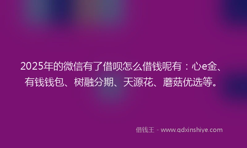 2025年的微信有了借呗怎么借钱呢有:心e金、有钱钱包、树融分期、天源花、蘑菇优选等。