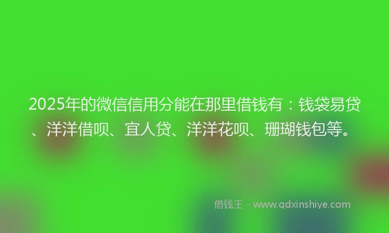 2025年的微信信用分能在那里借钱有：钱袋易贷、洋洋借呗、宜人贷、洋洋花呗、珊瑚钱包等。