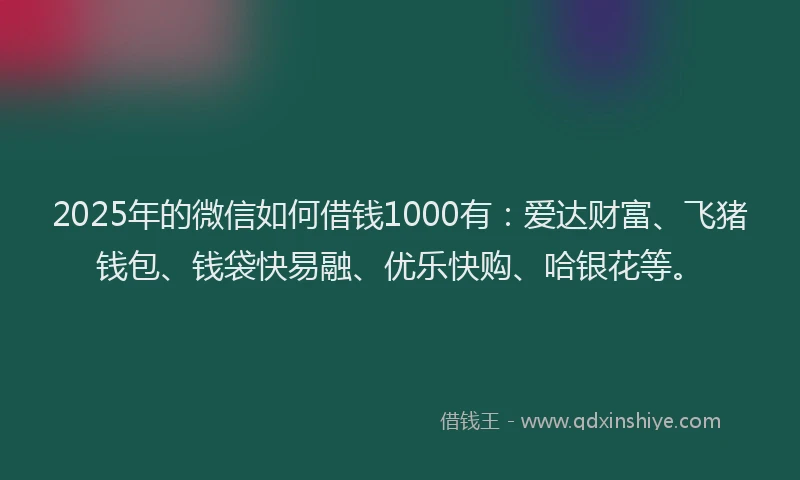 2025年的微信如何借钱1000有：爱达财富、飞猪钱包、钱袋快易融、优乐快购、哈银花等。