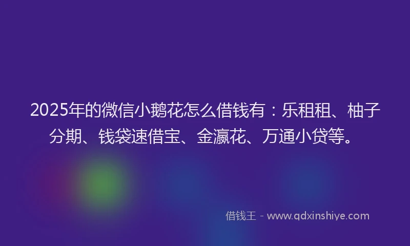 2025年的微信小鹅花怎么借钱有：乐租租、柚子分期、钱袋速借宝、金瀛花、万通小贷等。