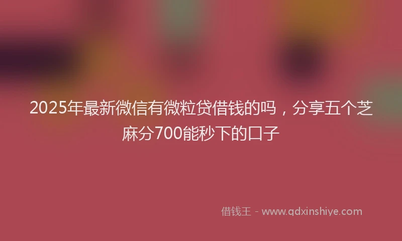 2025年最新微信有微粒贷借钱的吗，分享五个芝麻分700能秒下的口子