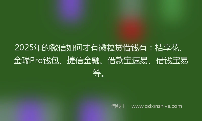 2025年的微信如何才有微粒贷借钱有：桔享花、金瑞Pro钱包、捷信金融、借款宝速易、借钱宝易等。
