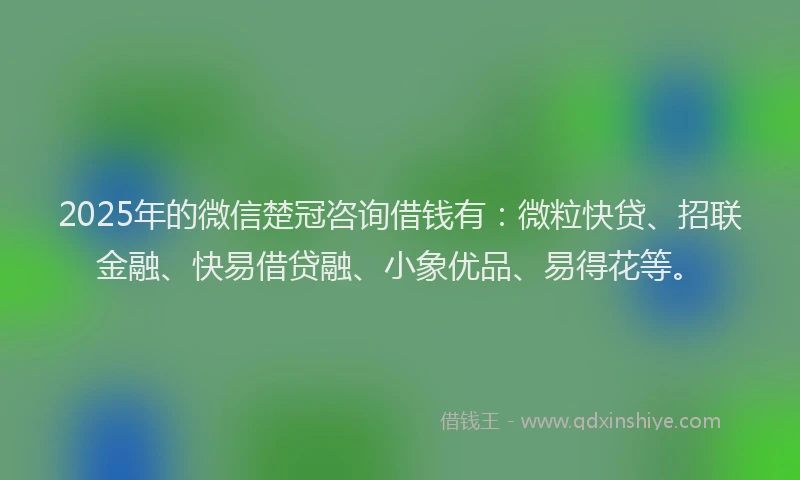 2025年的微信楚冠咨询借钱有：微粒快贷、招联金融、快易借贷融、小象优品、易得花等。