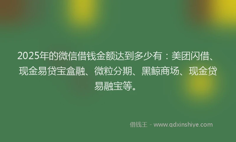 2025年的微信借钱金额达到多少有:美团闪借、现金易贷宝盒融、微粒分期、黑鲸商场、现金贷易融宝等。