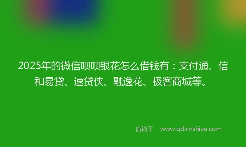 2025年的微信呗呗银花怎么借钱有：支付通、信和易贷、速贷侠、融逸花、极客商城等。