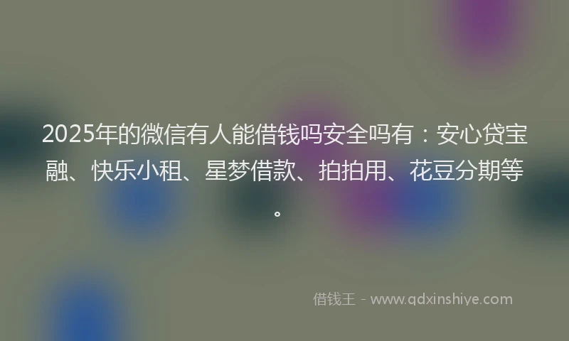 2025年的微信有人能借钱吗安全吗有：安心贷宝融、快乐小租、星梦借款、拍拍用、花豆分期等。