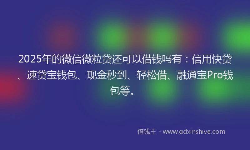 2025年的微信微粒贷还可以借钱吗有：信用快贷、速贷宝钱包、现金秒到、轻松借、融通宝Pro钱包等。