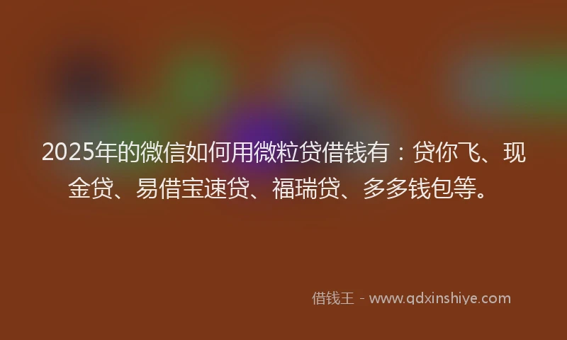 2025年的微信如何用微粒贷借钱有：贷你飞、现金贷、易借宝速贷、福瑞贷、多多钱包等。