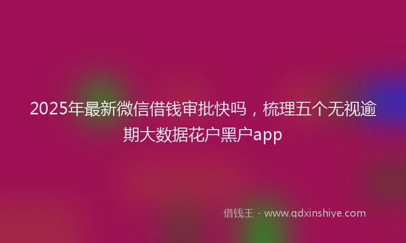 2025年最新微信借钱审批快吗，梳理五个无视逾期大数据花户黑户app