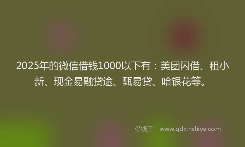 2025年的微信借钱1000以下有：美团闪借、租小新、现金易融贷途、甄易贷、哈银花等。