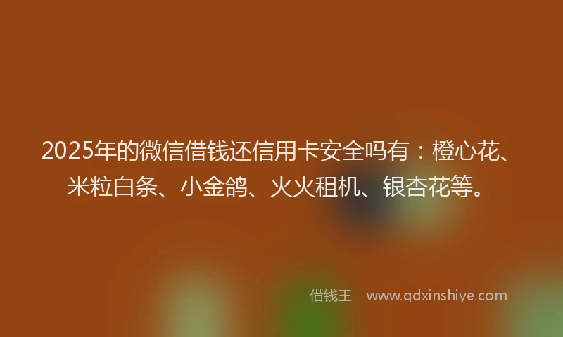 2025年的微信借钱还信用卡安全吗有：橙心花、米粒白条、小金鸽、火火租机、银杏花等。