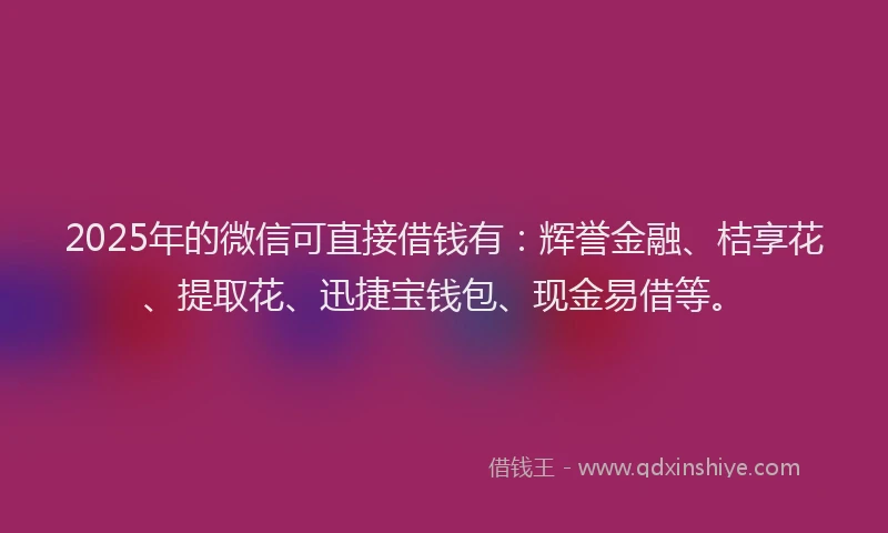 2025年的微信可直接借钱有：辉誉金融、桔享花、提取花、迅捷宝钱包、现金易借等。