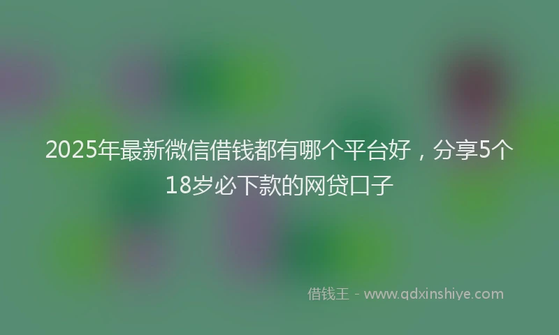 2025年最新微信借钱都有哪个平台好，分享5个18岁必下款的网贷口子