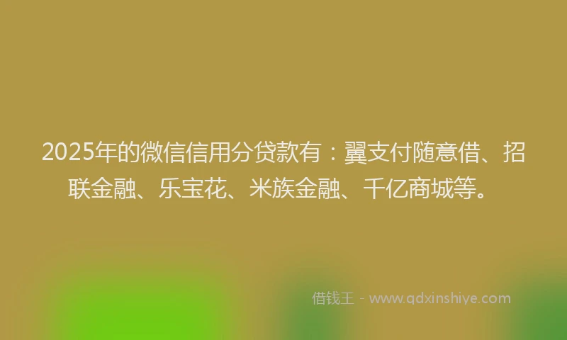 2025年的微信信用分贷款有：翼支付随意借、招联金融、乐宝花、米族金融、千亿商城等。