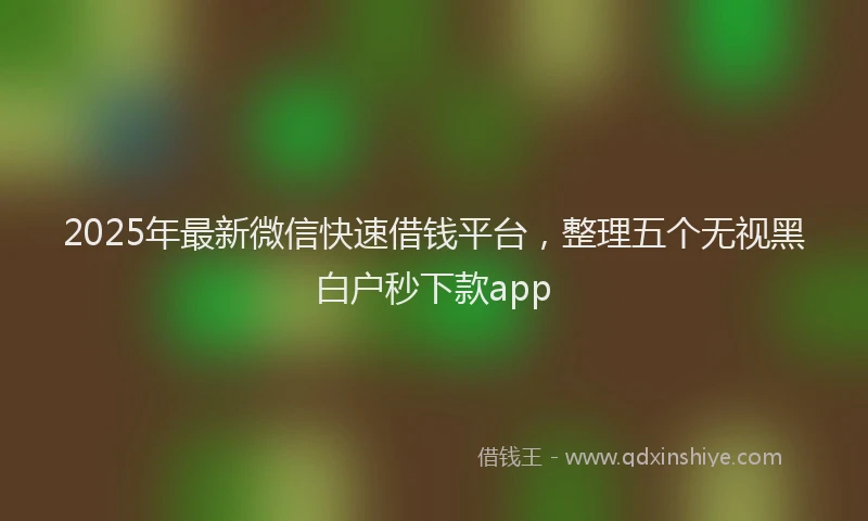 2025年最新微信快速借钱平台，整理五个无视黑白户秒下款app