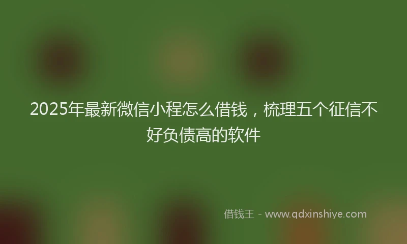 2025年最新微信小程怎么借钱，梳理五个征信不好负债高的软件