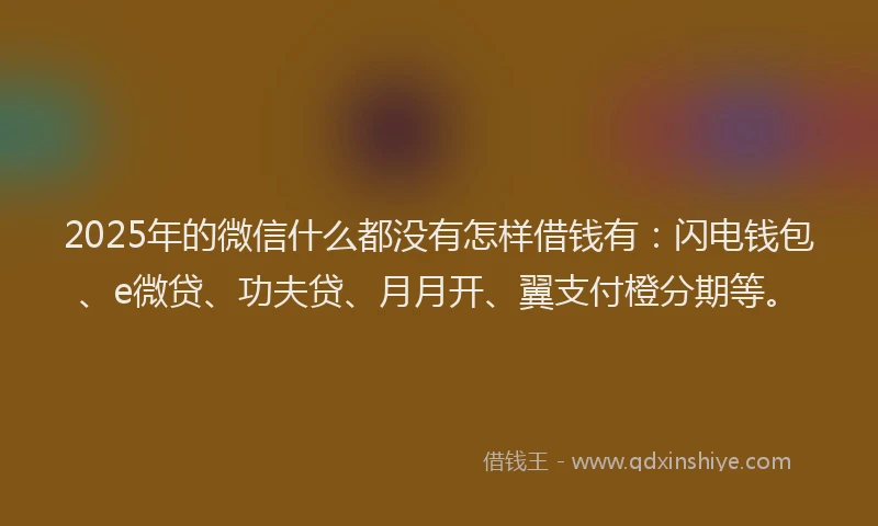 2025年的微信什么都没有怎样借钱有：闪电钱包、e微贷、功夫贷、月月开、翼支付橙分期等。