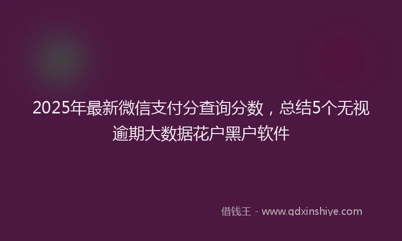 2025年最新微信支付分查询分数，总结5个无视逾期大数据花户黑户软件