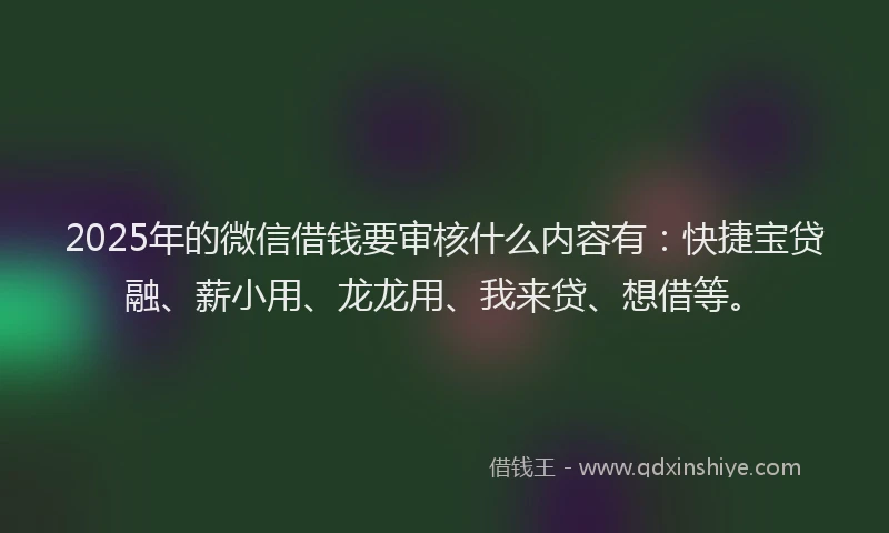 2025年的微信借钱要审核什么内容有：快捷宝贷融、薪小用、龙龙用、我来贷、想借等。